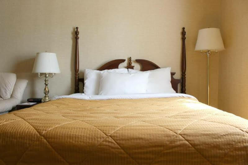 Econo Lodge City Centre Kingston Luaran gambar